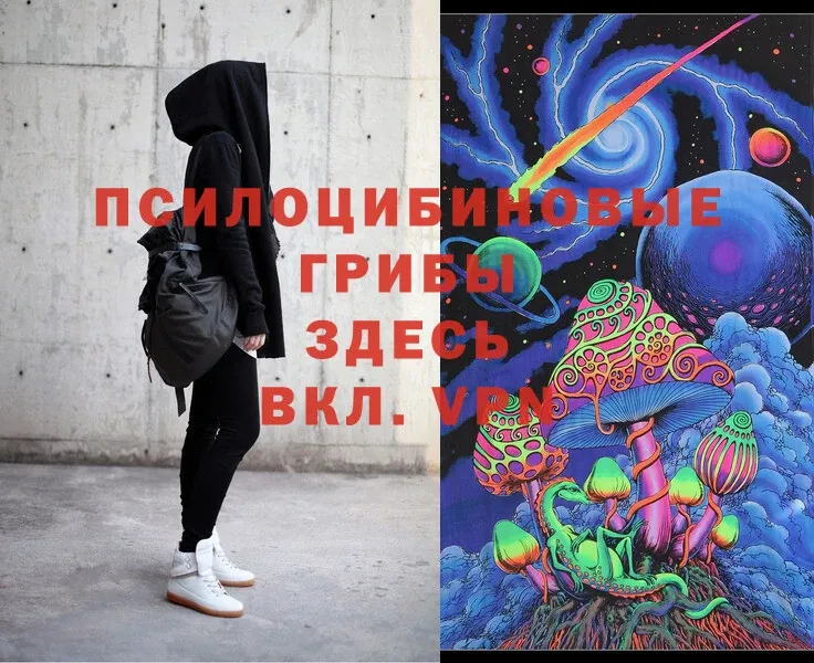 MEGA вход  Саранск  Галлюциногенные грибы MAGIC MUSHROOMS  купить наркотики сайты 